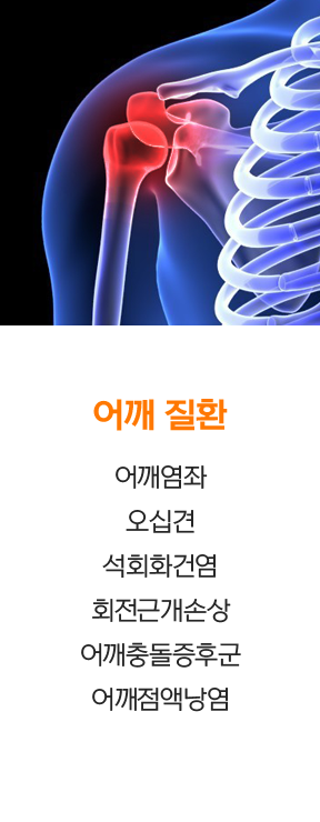 어깨 증상